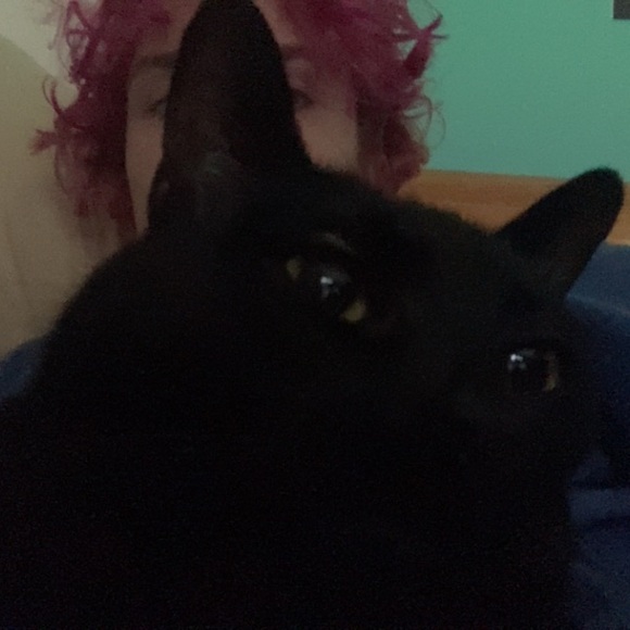 hello - Picture 3 of 3